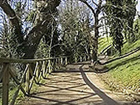 parque Marcos Cela